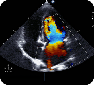 Design sem nome - 2026-01-14T143312.531